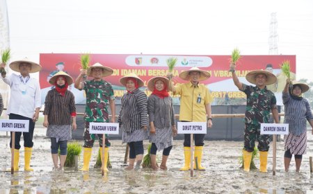 Ketahanan Pangan, Pangdam V Brawijaya Tanam Padi di Gresik