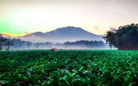 Kampung 'Terlucu', Ternyata Ada di Kabupaten Jember