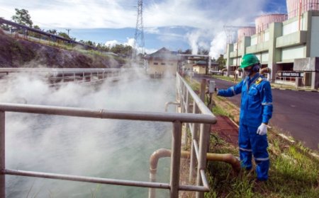 PLN Buka Kolaborasi Global Tingkatkan Kapasitas SDM Untuk Transisi Energi