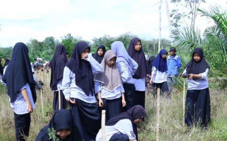 Kolaborasi PLN-BPSILHK Kuok Riau Kembangkan Inovasi Budi Daya Tanaman Kayu Putih di Lahan Gambut