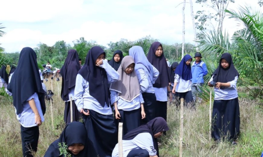 Kolaborasi PLN-BPSILHK Kuok Riau Kembangkan Inovasi Budi Daya Tanaman Kayu Putih di Lahan Gambut