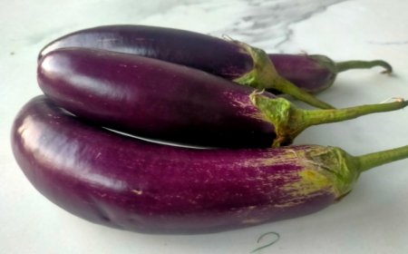 Sayur Terong, Menu Alternatif Agar Tidak Bosan Saat Lebaran