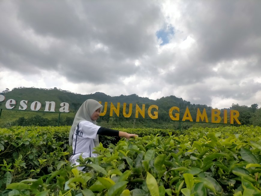 Wisata Alam Gunung Gambir, Rekomendasi Keluarga Berlibur Lebaran