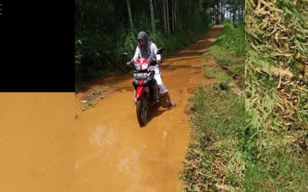 Honorer Bidan, Siap Terjang Medan demi Pengabdian