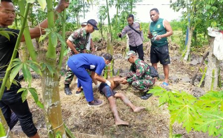 Seorang Buruh Tani di Banyuwangi Meninggal Tanpa Sebab di Kebun Buah Naga