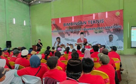 Maksimalkan Komoditi Pertanian, Pemkab Lambar Gandeng DPR RI dan Kementan