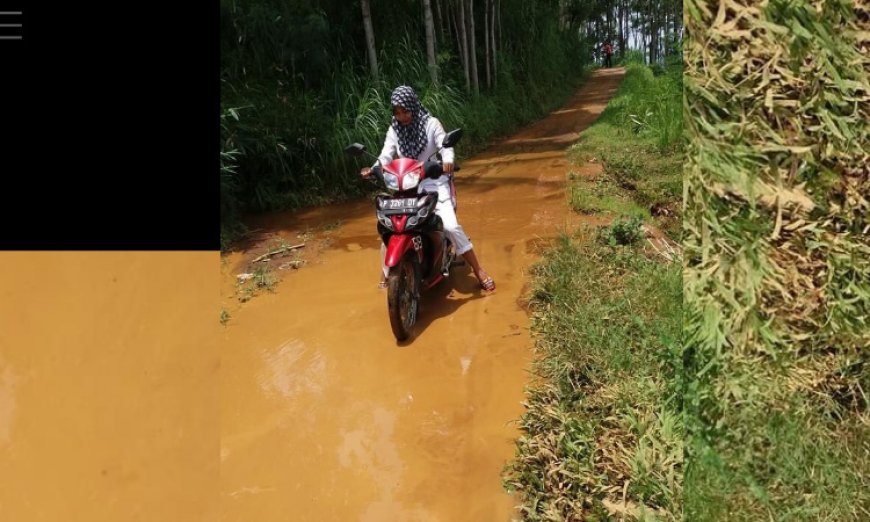 Honorer Bidan, Siap Terjang Medan demi Pengabdian