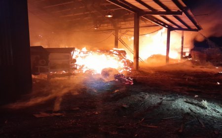 Gudang Pabrik Triplek di Bondowoso Terbakar, Kerugian 20 M