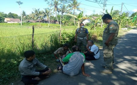 Resahkan Masyarakat, Satpol PP Bondowoso Amankan ODGJ di Kejawan