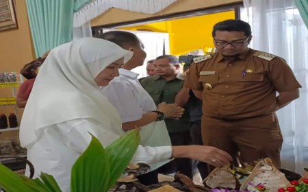 Kerajinan Batok Kelapa di Aceh Singkil dilirik Pj. Gubernur