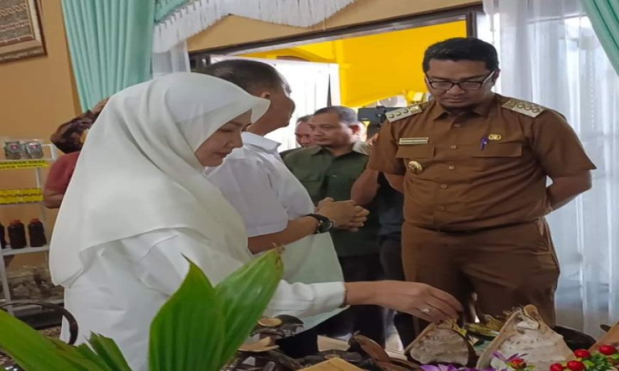 Kerajinan Batok Kelapa di Aceh Singkil dilirik Pj. Gubernur