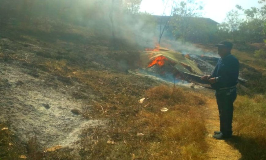 Belasan Bonsai di Wisata Ghunong Bunter Situbondo Terbakar, Kerugian Ditaksir Capai 60 Juta