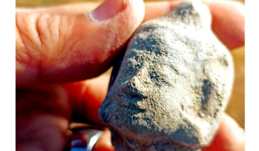 Benda Purbakala Ditemukan di Situbondo