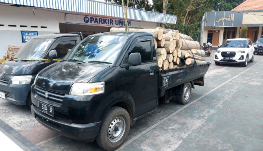 Perhutani Bondowoso Tangkap Terduga Pelaku Ilegal Loging, Diduga Gunakan Mobil Operasional Desa